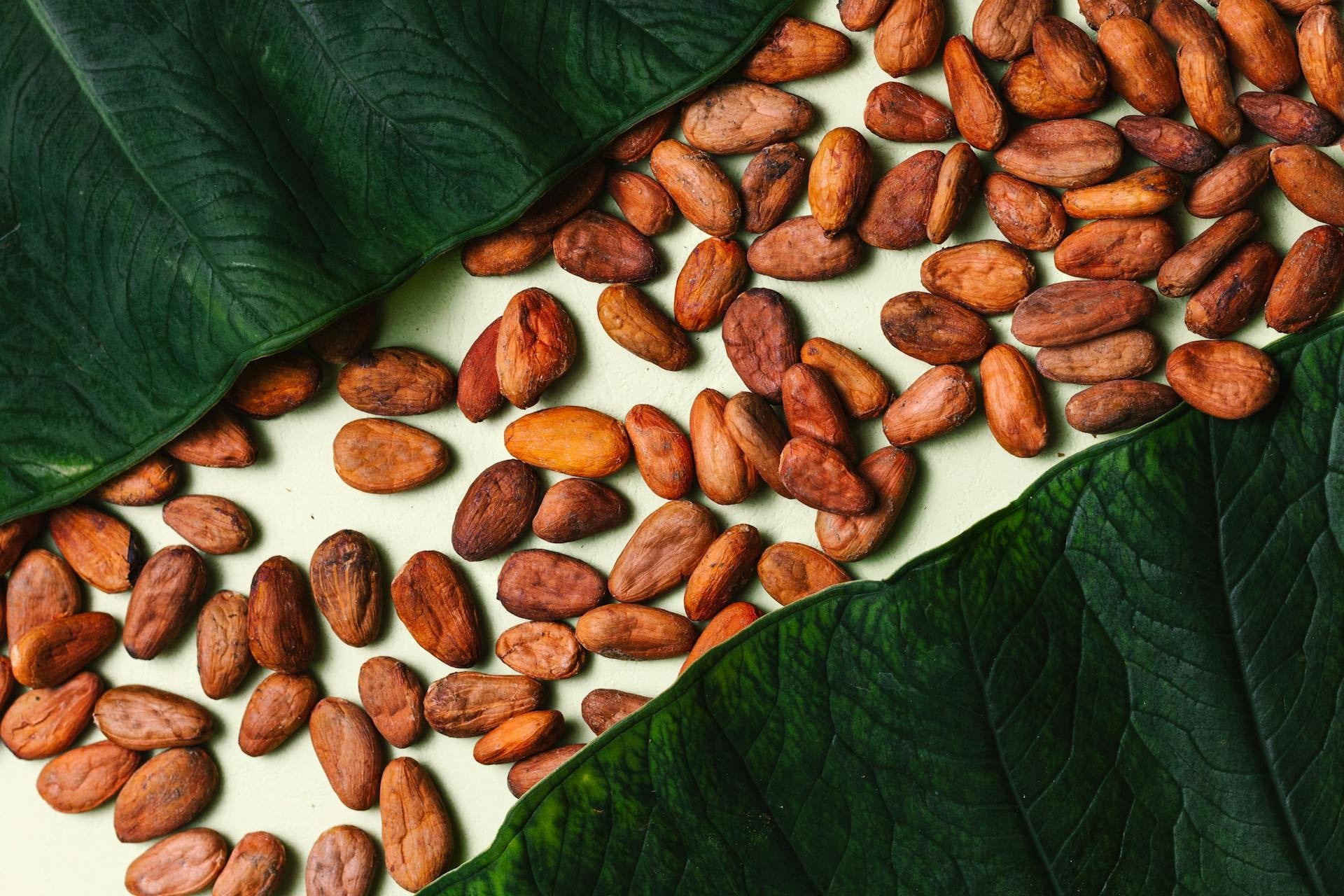 Pure Unrefined Butters | Natural Shea & Cocoa Butter